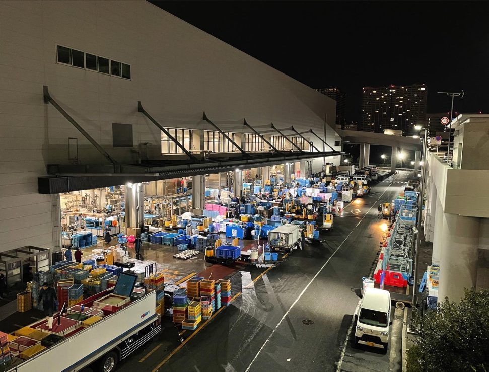 toyosu-fish-markets-japan